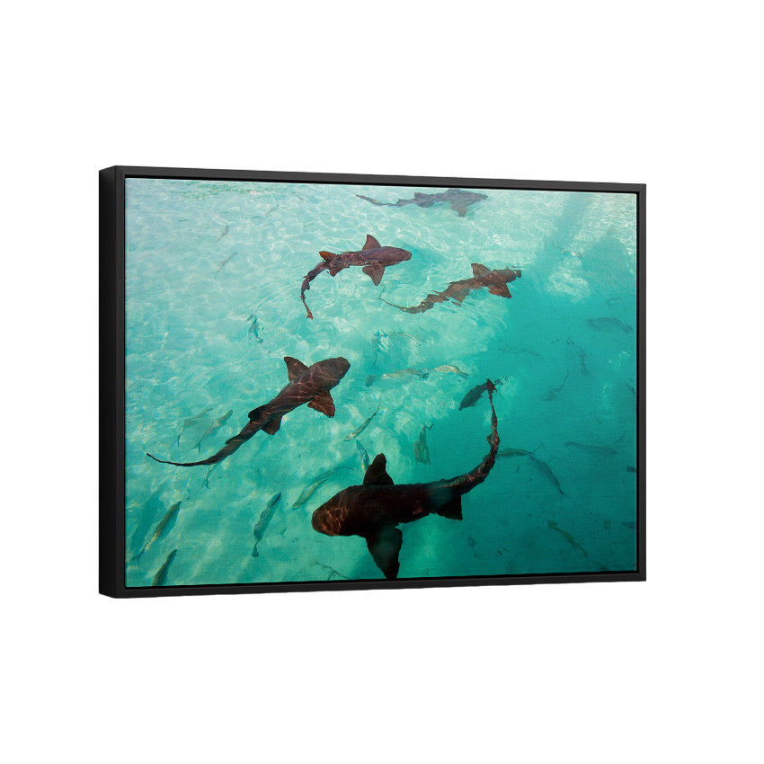 Discover Modern Photography Canvas Art, Inspirational Sea Ozean Shark Canvas Art by Greattness, The Shark Tank by Original Greattness™ Canvas Wall Art Print